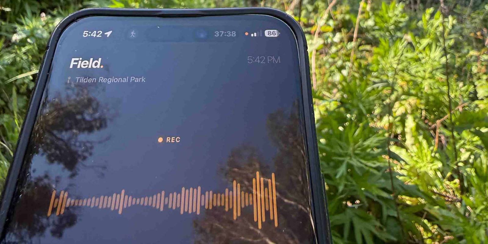An iPhone running Field, recording in tall green grass at Tilden Regional Park